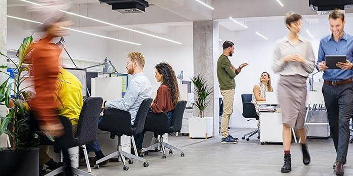 an IT office on working hours, employees walking, working & do discussion