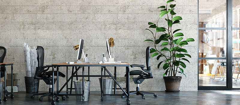 office outer area with tables, chairs and plants